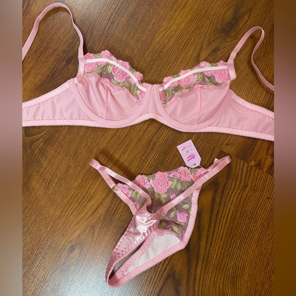 🎀🌷 Ethereal Pink Satin & Sheer Floral Embroidery Lace 2 Pc Lingerie Set 🌷🎀 NWT - Picture 9 of 13
